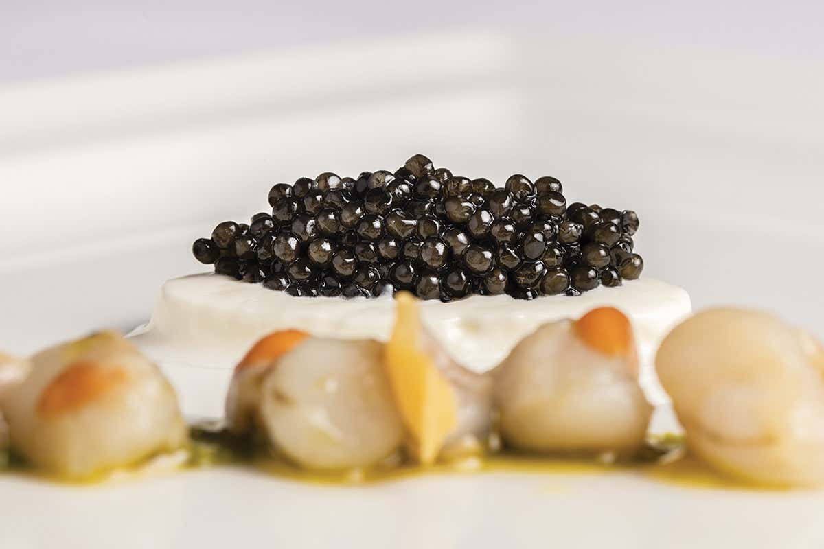 Caviale Beluga, vongole e canestrelli, su emulsione di prezzemolo e finocchio