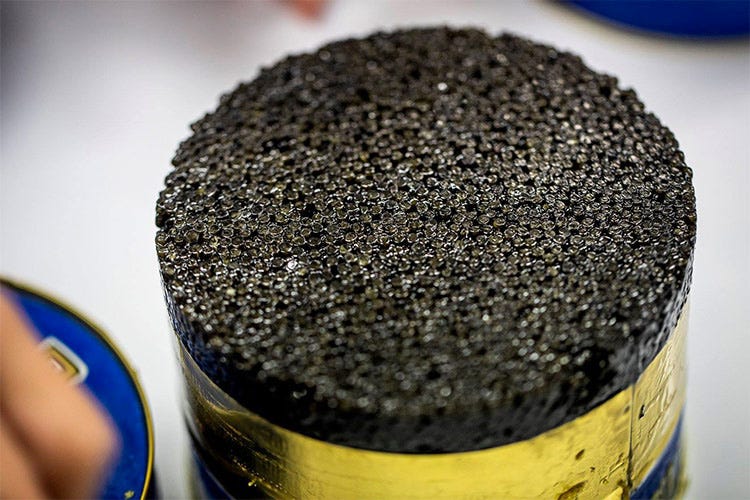 Caviar Giaveri porta il top in tavola Italiano il caviale eco-sostenibile