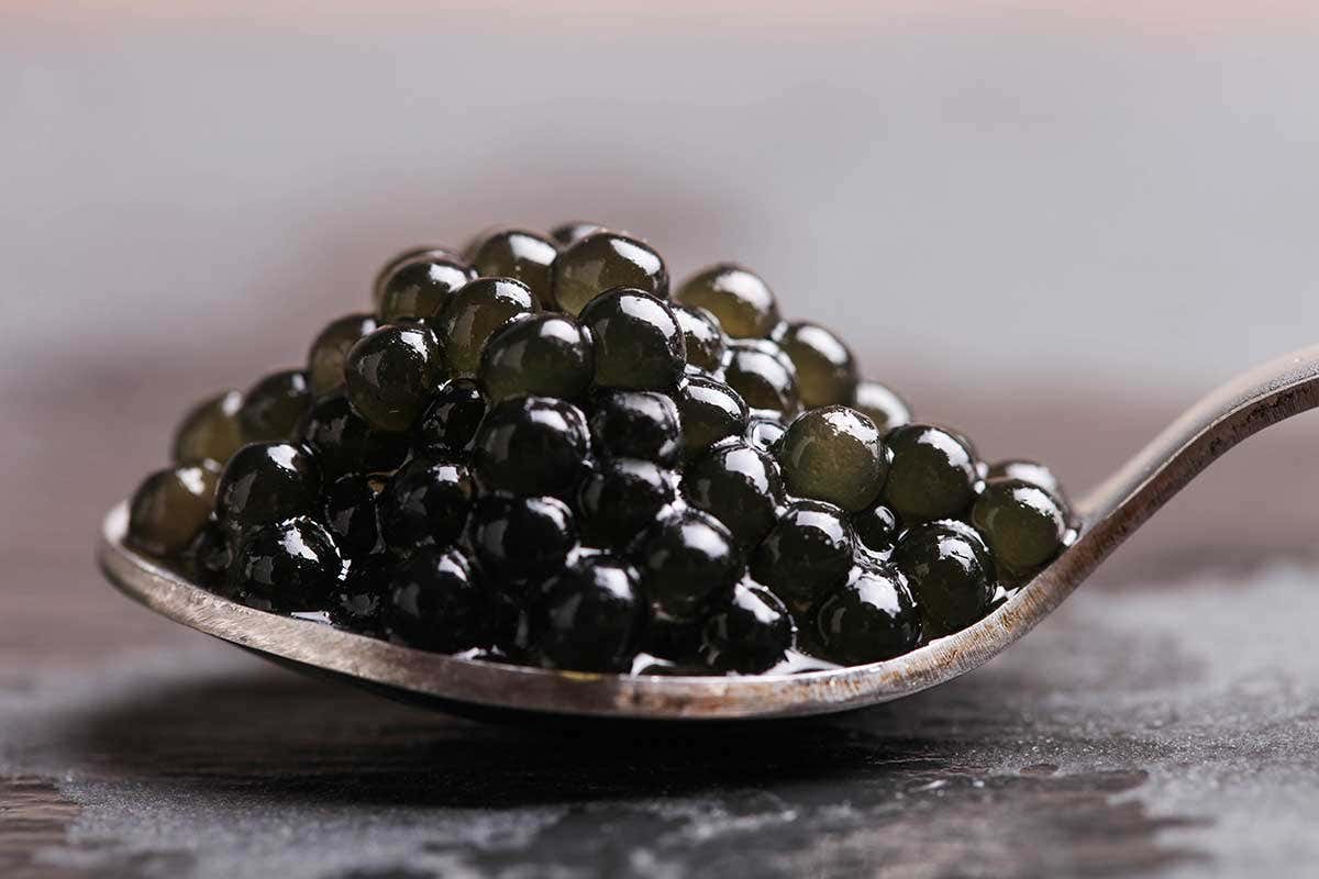 Un cucchiaio di caviale Un 2020 senza paure per il caviale di Calvisano, che piace anche ai russi