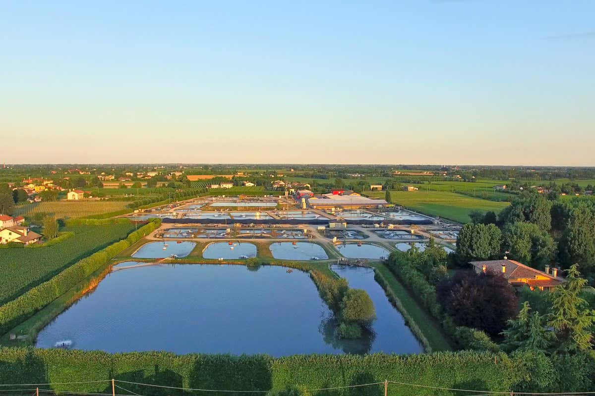 Scacco Matto, il caviale che conquista il mondo fine dining con lusso e design