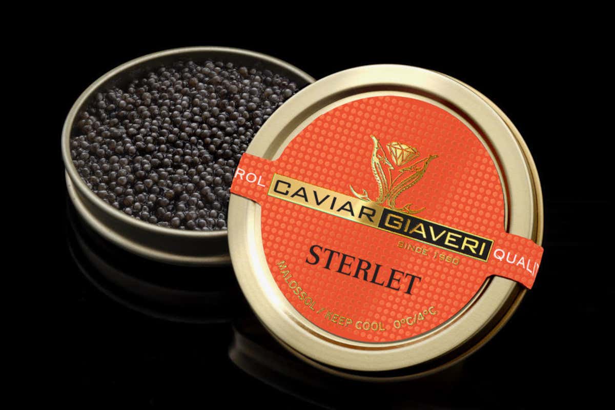 Il caviale Sterlet: piccole uova, grande gusto per l’alta cucina Il caviale Sterlet: piccole uova, grande gusto per l’alta cucina