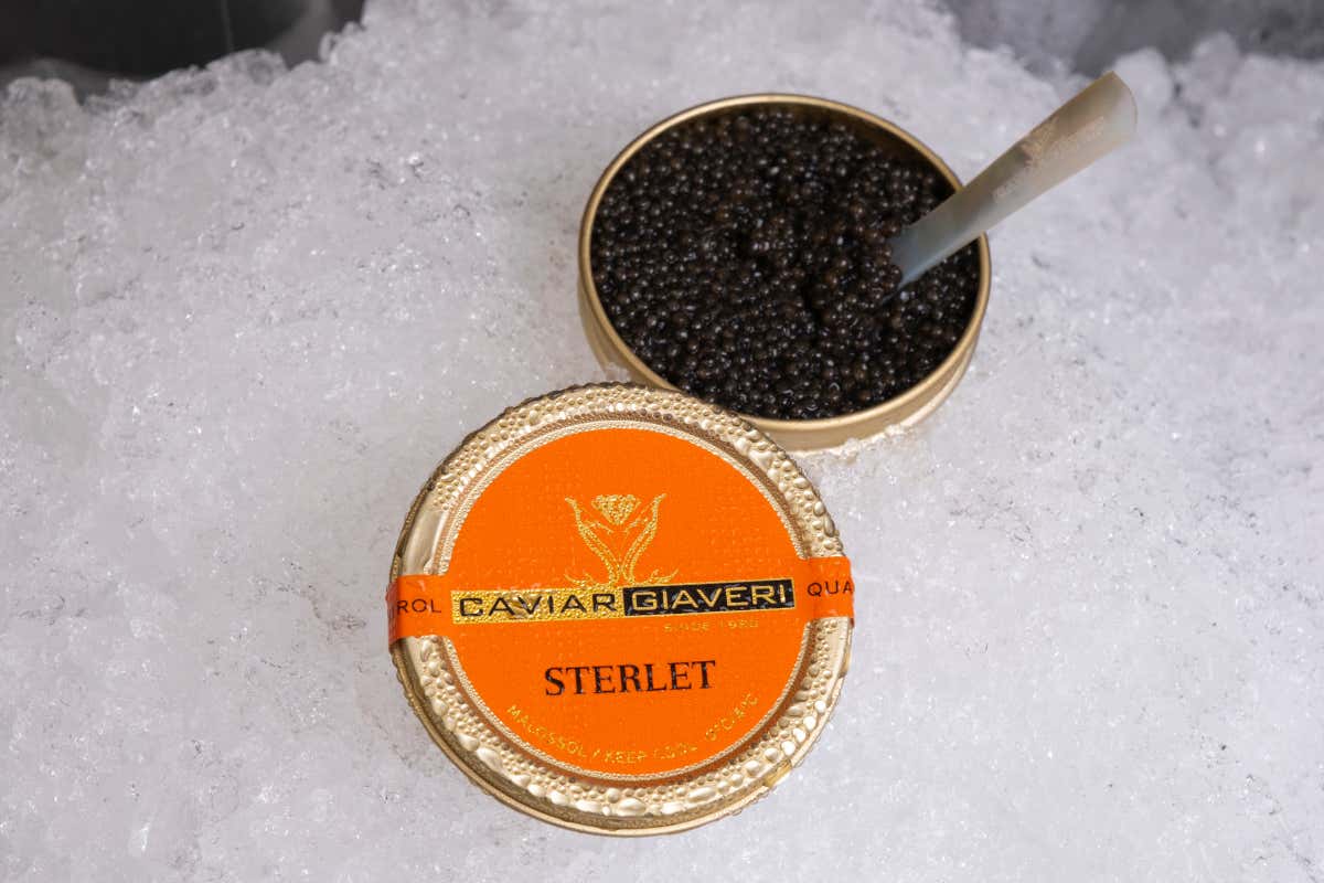Il caviale Sterlet: piccole uova, grande gusto per l’alta cucina
