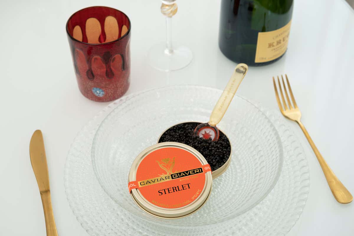 Il caviale Sterlet: piccole uova, grande gusto per l’alta cucina Il caviale Sterlet: piccole uova, grande gusto per l’alta cucina
