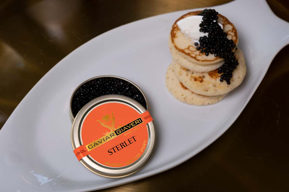 Il caviale Sterlet: piccole uova, grande gusto per l’alta cucina Il caviale Sterlet: piccole uova, grande gusto per l’alta cucina