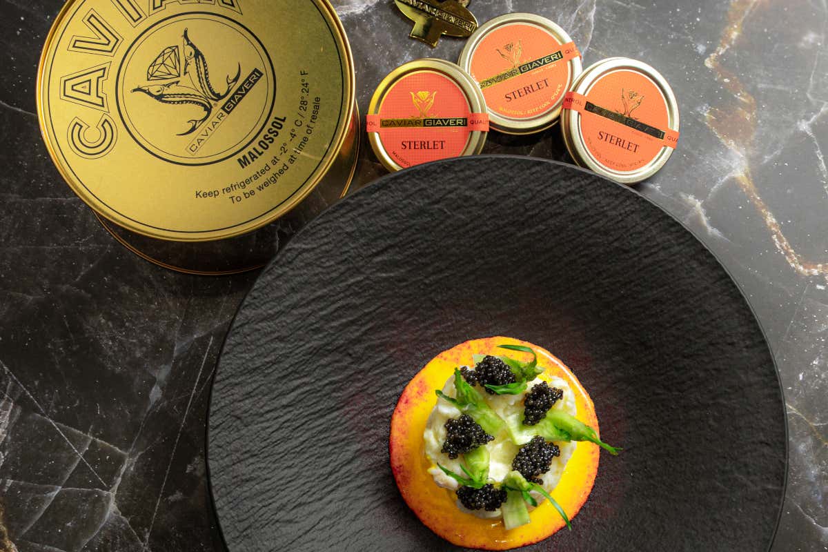 Il caviale Sterlet: piccole uova, grande gusto per l’alta cucina Il caviale Sterlet: piccole uova, grande gusto per l’alta cucina