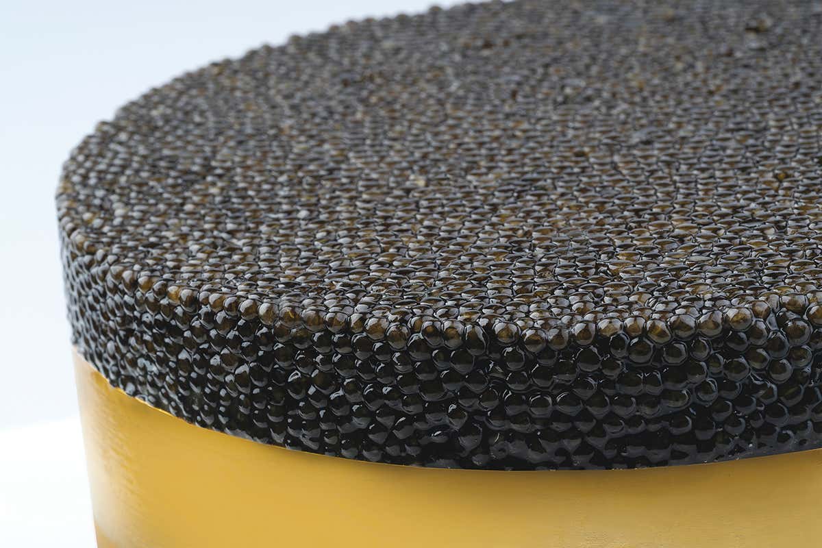 Il caviale non è più solo ingrediente: il racconto parte dalla sala Il caviale non è più solo ingrediente: il racconto parte dalla sala