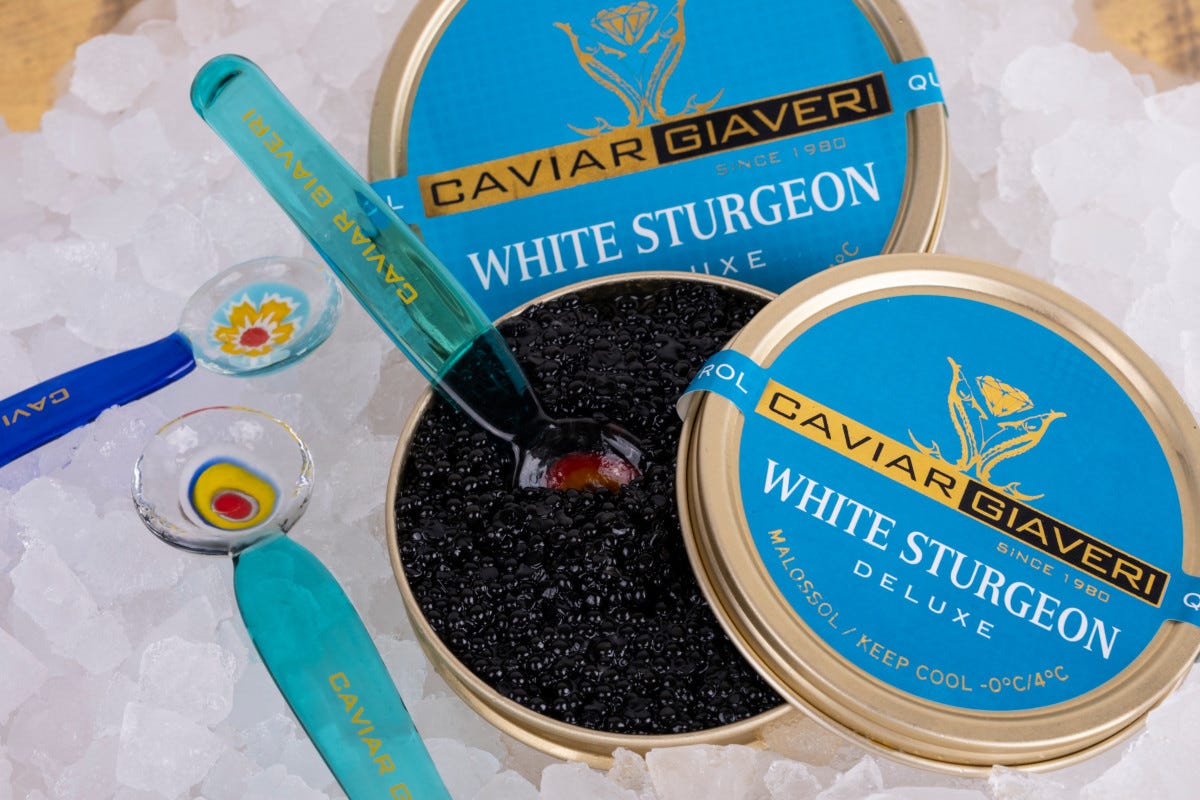 Il colore ottanio della nuova etichetta White Strurgeon Deluxe di Caviar Giaveri Lo storione bianco di Caviar Giaveri conquista gli chef con i suoi grani grossi e le note eleganti