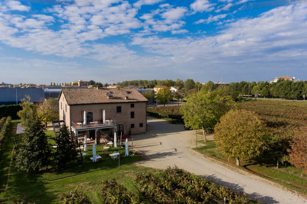 Cavicchioli: l'arte di ridefinire il Lambrusco, tra autenticità e territorio Cavicchioli: l'arte di ridefinire il Lambrusco, tra autenticità e territorio