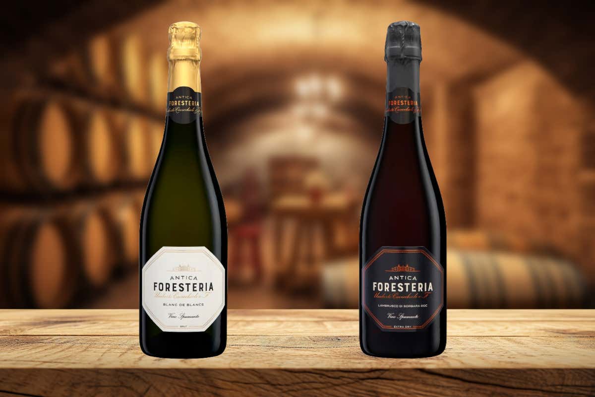 La rinascita del Lambrusco passa da Modena (e si chiama Cavicchioli) La rinascita del Lambrusco passa da Modena (e si chiama Cavicchioli)