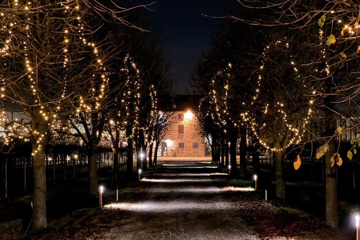 L’eleganza del Lambrusco di Sorbara Doc incontra la modernità per le feste L’eleganza del Lambrusco di Sorbara Doc incontra la modernità per le feste