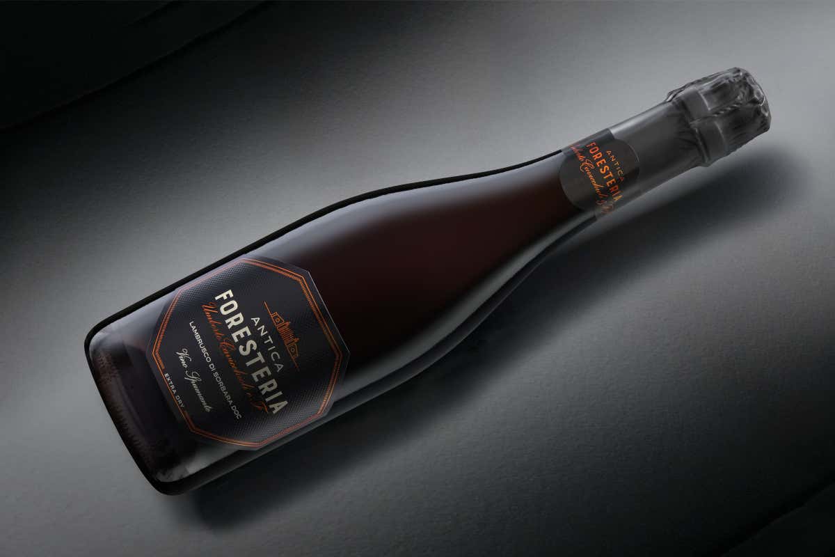 L’eleganza del Lambrusco di Sorbara Doc incontra la modernità per le feste L’eleganza del Lambrusco di Sorbara Doc incontra la modernità per le feste