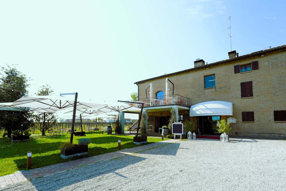 La rinascita del Lambrusco passa da Modena (e si chiama Cavicchioli) La rinascita del Lambrusco passa da Modena (e si chiama Cavicchioli)