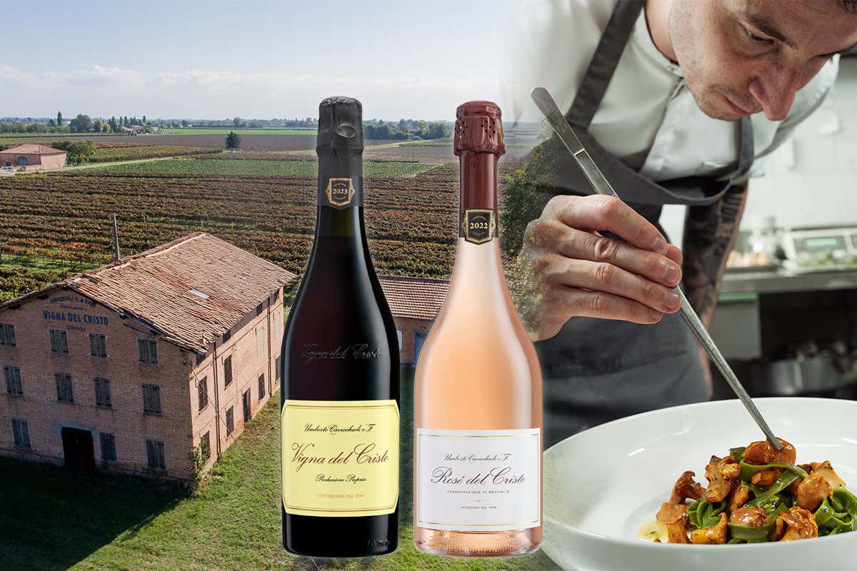 Cantine Cavicchioli: quando il Lambrusco incontra la cucina d’autore Cantine Cavicchioli: quando il Lambrusco incontra la cucina d’autore