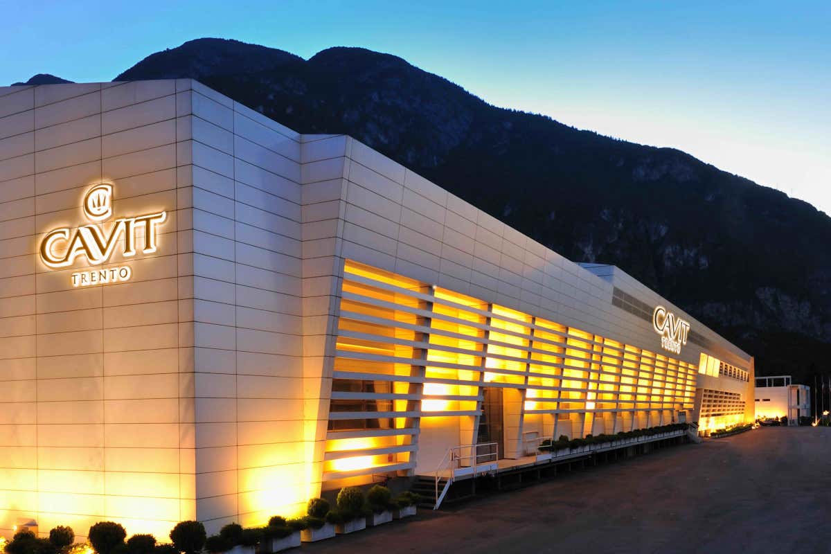 Cavit premiata da Weinwirtschaft: il modello cooperativo convince anche all'estero