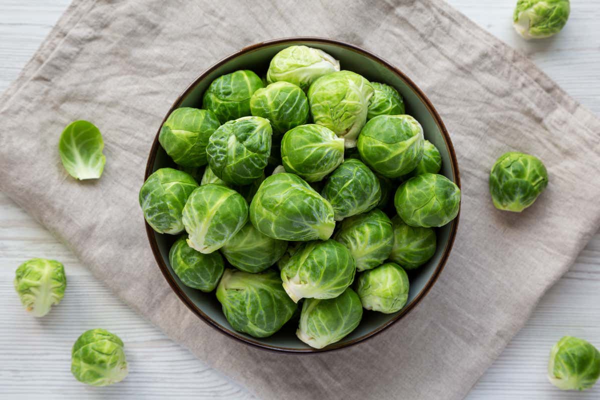 Cavolini di Bruxelles: piccoli germogli ricchi di virtù per la salute Cavolini di Bruxelles: piccoli germogli ricchi di virtù per la salute