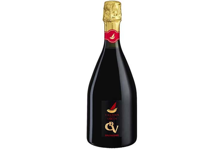 (Cdv Brutrosso, vino che mette allegria perfetto con le tipicità modenesi) (Cdv Brutrosso, vino che mette allegria perfetto con le tipicità modenesi)