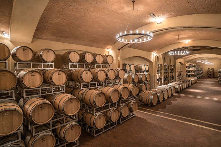 (Per i 125 anni di Cecchi tre declinazioni di Chianti Classico)