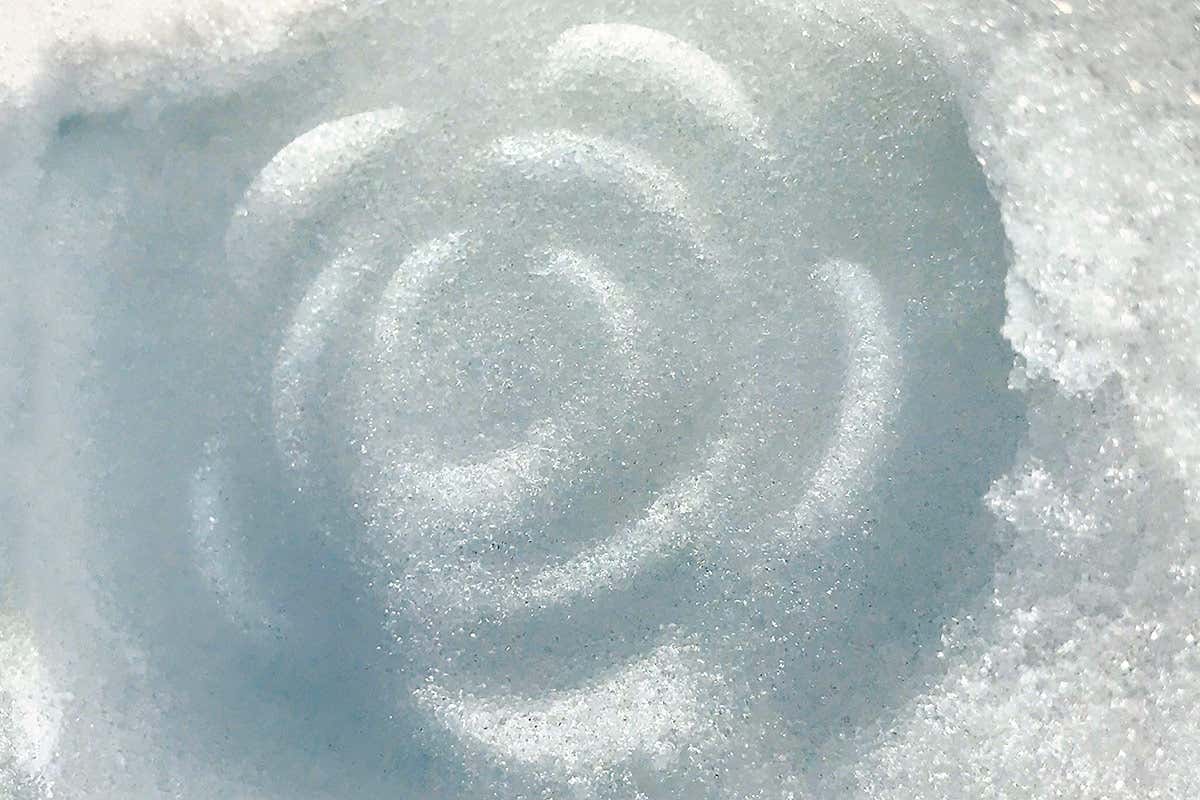 Cedea, design pluripremiato e attenzione all’ambiente