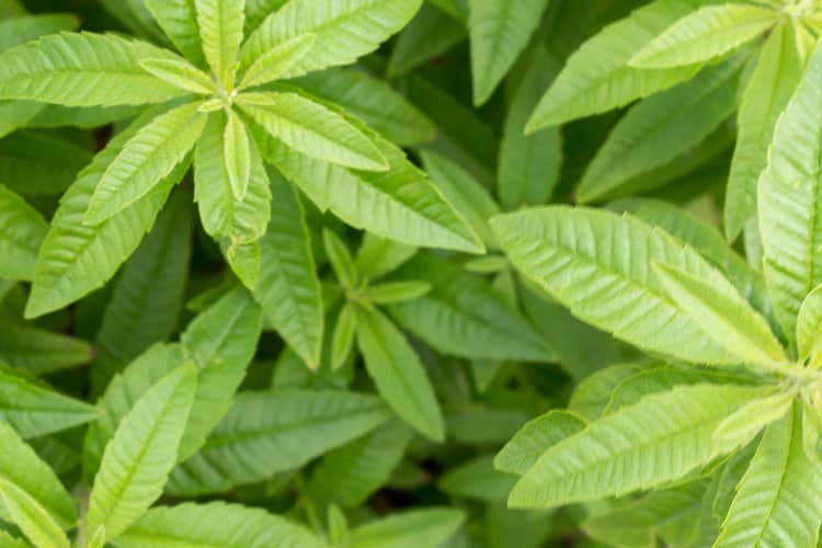 Che cos’è e quali proprietà ha la cedrina