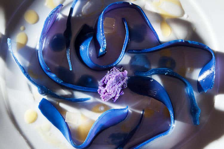 Seppia azzurra (Moreno Cedroni, Madonnina **)  L'Italia di Mancini va sulle stelle. Ecco come la celebrano gli stellati