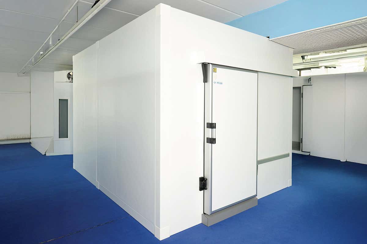 Dalla modularità all’igiene: le celle antibatteriche per i professionisti Horeca Dalla modularità all’igiene: le celle antibatteriche per i professionisti Horeca