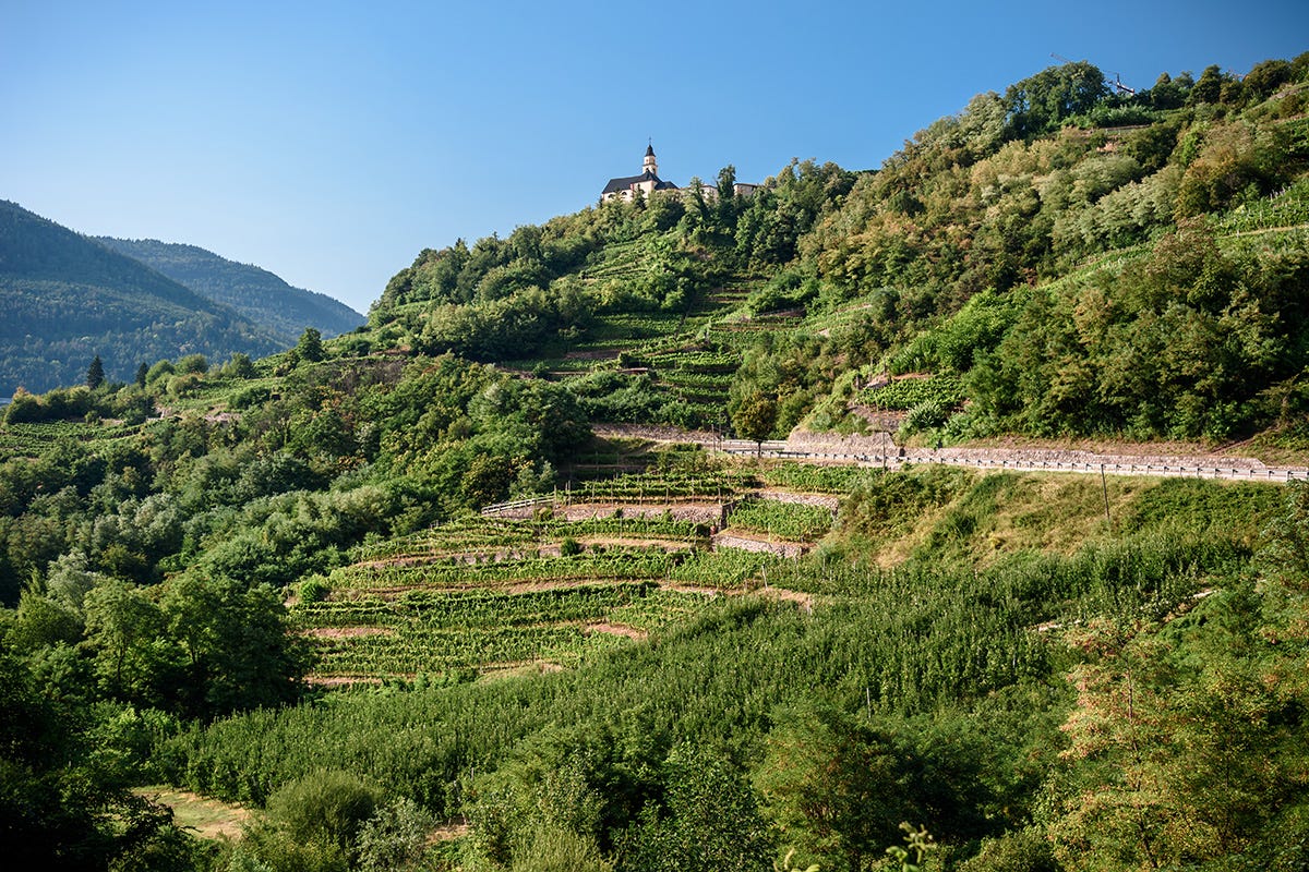 Valle di Cembra Mangiare e dormire in Valle di Cembra: il Trentino ancora da scoprire