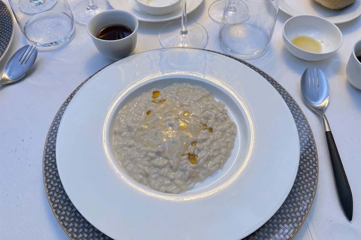 Risotto rafano, mela e parmigiano reggiano 200 mesi e vino santo trentino