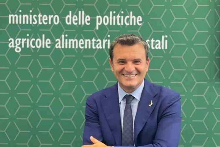 Gian Marco Centinaio  Centinaio: “La forza del made in Italy è la sinergia tra agroalimentare e territori”