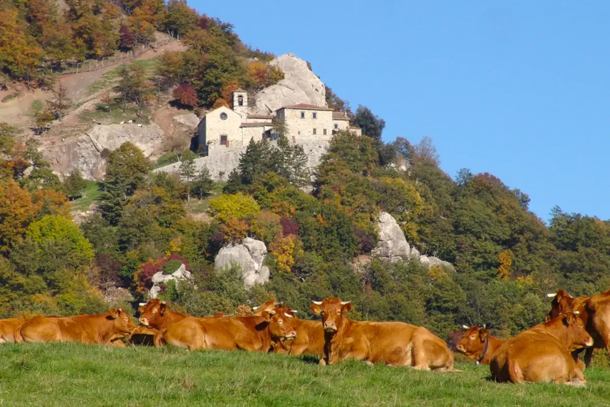 L'Eremo di Cerbaiolo&nbsp; Valdarno e Valtiberina: alla scoperta di una Toscana insolita