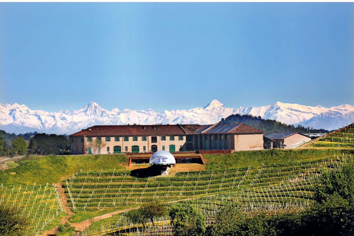 Ceretto a San Cassiano di Alba  Ceretto non solo grandi vini: storia cultura e alta cucina