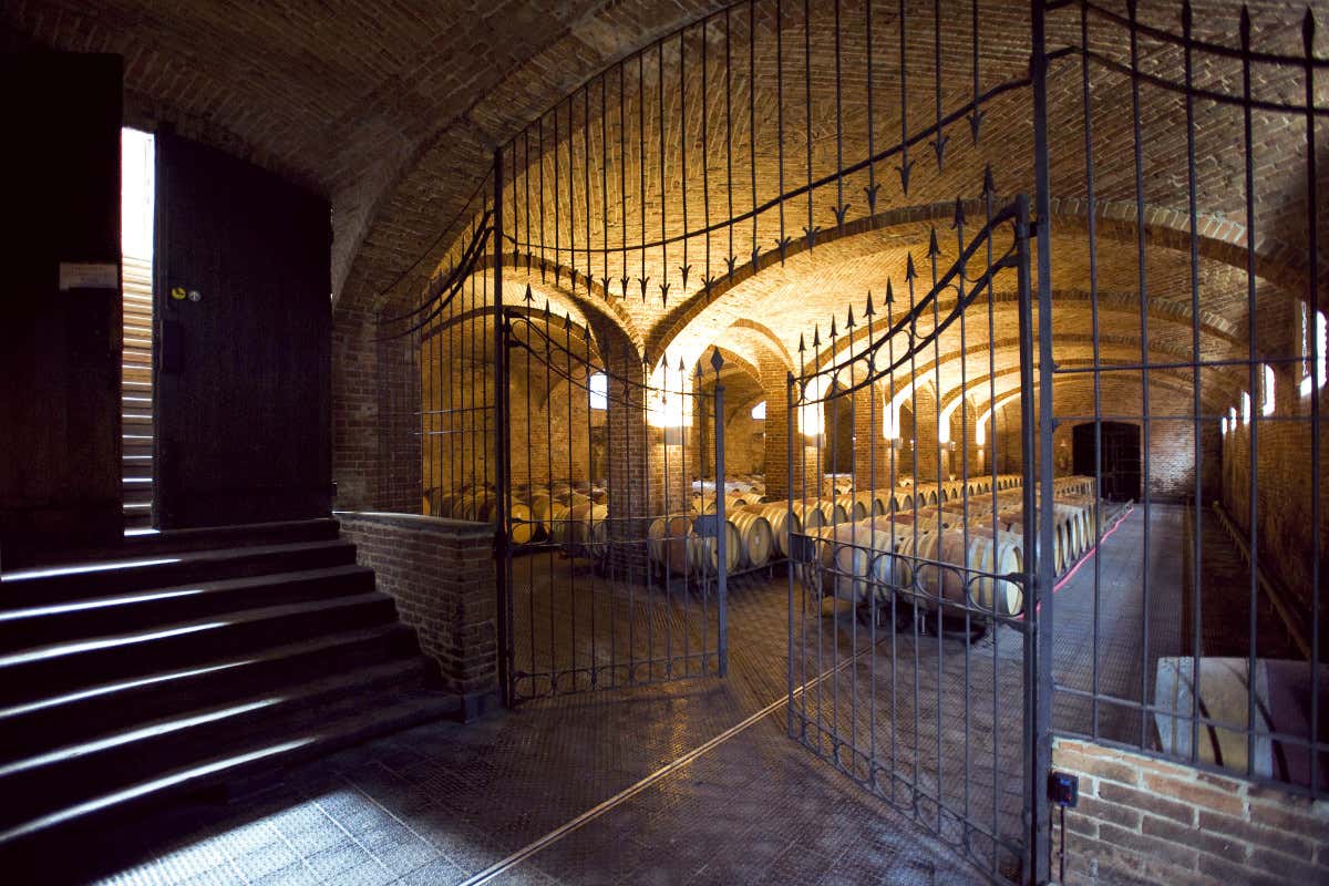 Botti a riposo da Ceretto  Ceretto non solo grandi vini: storia cultura e alta cucina