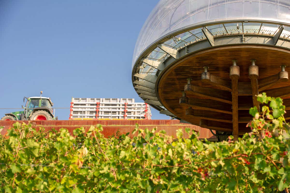 Un dettaglio della Tenuta Monsordo  Ceretto non solo grandi vini: storia cultura e alta cucina