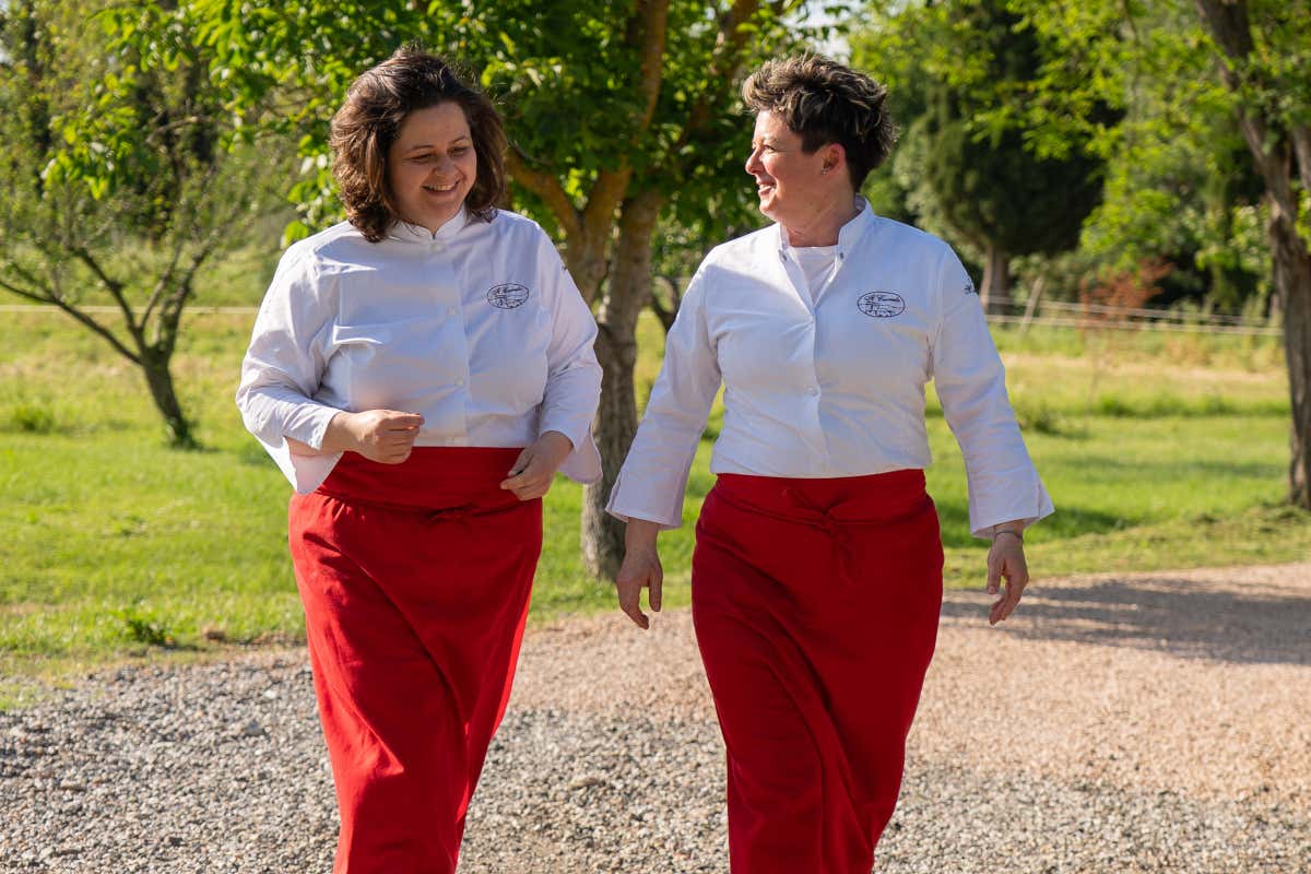 Da Il Cerreto puoi dormire in una torre del 1250 immerso nella campagna Toscana Da Il Cerreto puoi dormire in una torre del 1250 immerso nella campagna Toscana