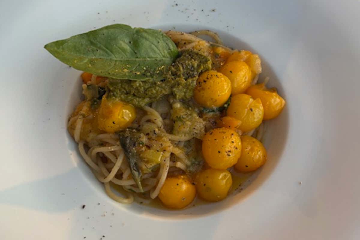 Da Il Cerreto puoi dormire in una torre del 1250 immerso nella campagna Toscana Da Il Cerreto puoi dormire in una torre del 1250 immerso nella campagna Toscana