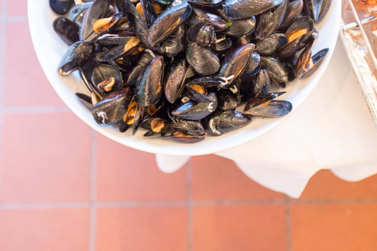 Vacanza in famiglia: a Cesenatico bimbi protagonisti nei Ricci Hotels