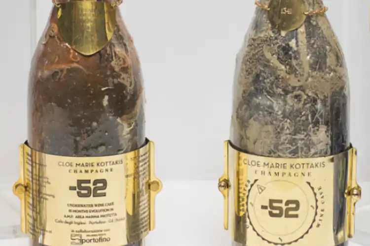 Le bottiglie della societ&agrave; Jamin srl produttore di bollicine immerse a riposare nell'area marina protetta di Portofino Il nome Portofino sullo Champagne? La Coldiretti solleva il caso