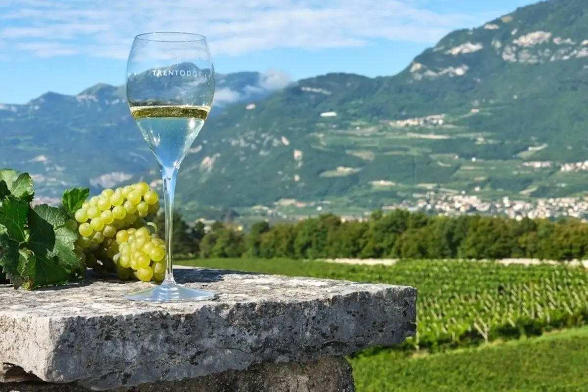 Il primo Champagne trentino? &Egrave; firmato Valentini di Weinfeld (1899)
