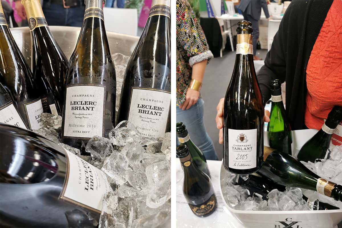 600 le etichette presenti 600 le etichette presenti