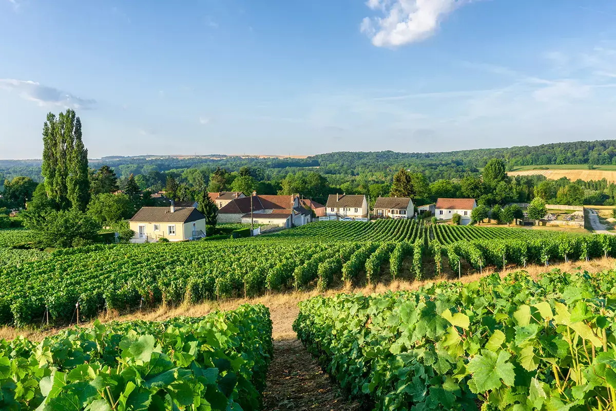 Alla scoperta dello Champagne Sei un viaggiatore del gusto? Ecco sei motivi per un viaggio in Francia nel 2022