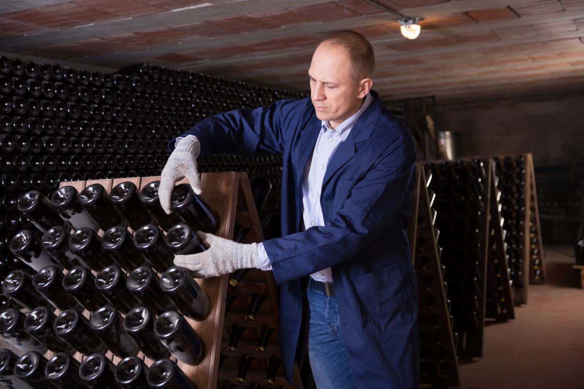 Nella Champagne come in Italia: meno uva per salvare il vino (rimasto) in cantina Nella Champagne come in Italia: meno uva per salvare il vino (rimasto) in cantina