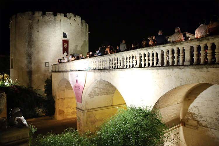 Charme in Rosa, festa dei rosati pugliesi A Lecce un convegno sui 4 campioni Charme in Rosa, festa dei rosati pugliesi A Lecce un convegno sui 4 campioni