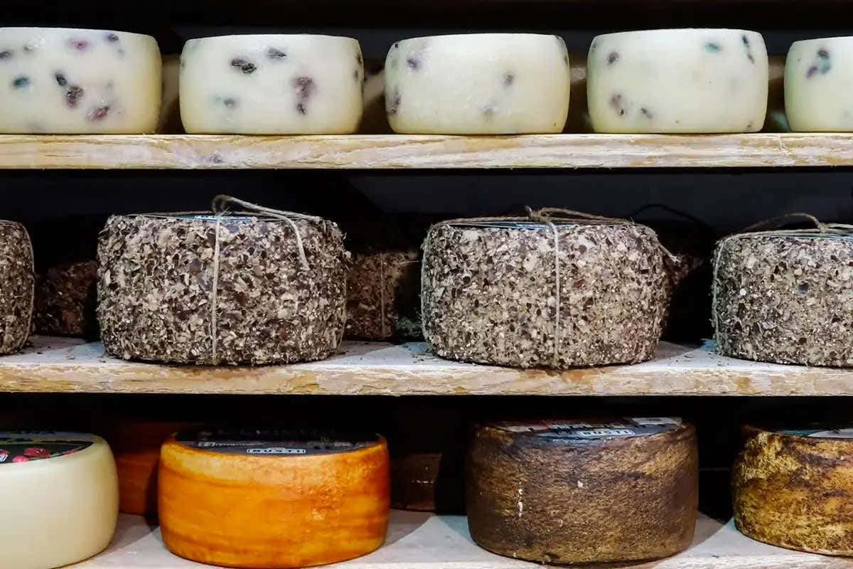B2Cheese, il formaggio italiano lancia la sfida globale con World Cheese Capital B2Cheese, il formaggio italiano lancia la sfida globale con World Cheese Capital