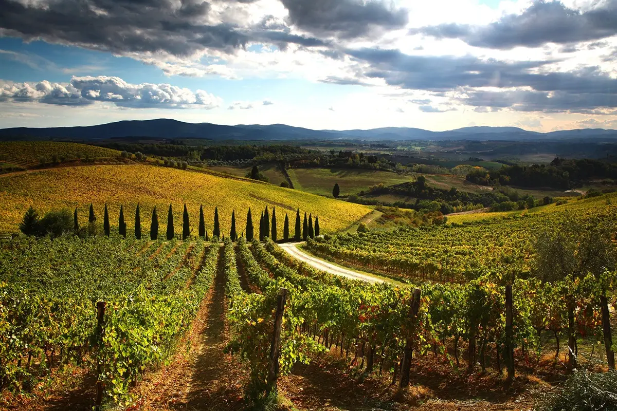 Tour del Chianti in fuoristrada Cosa fai a Capodanno? Ecco 5 idee in Italia