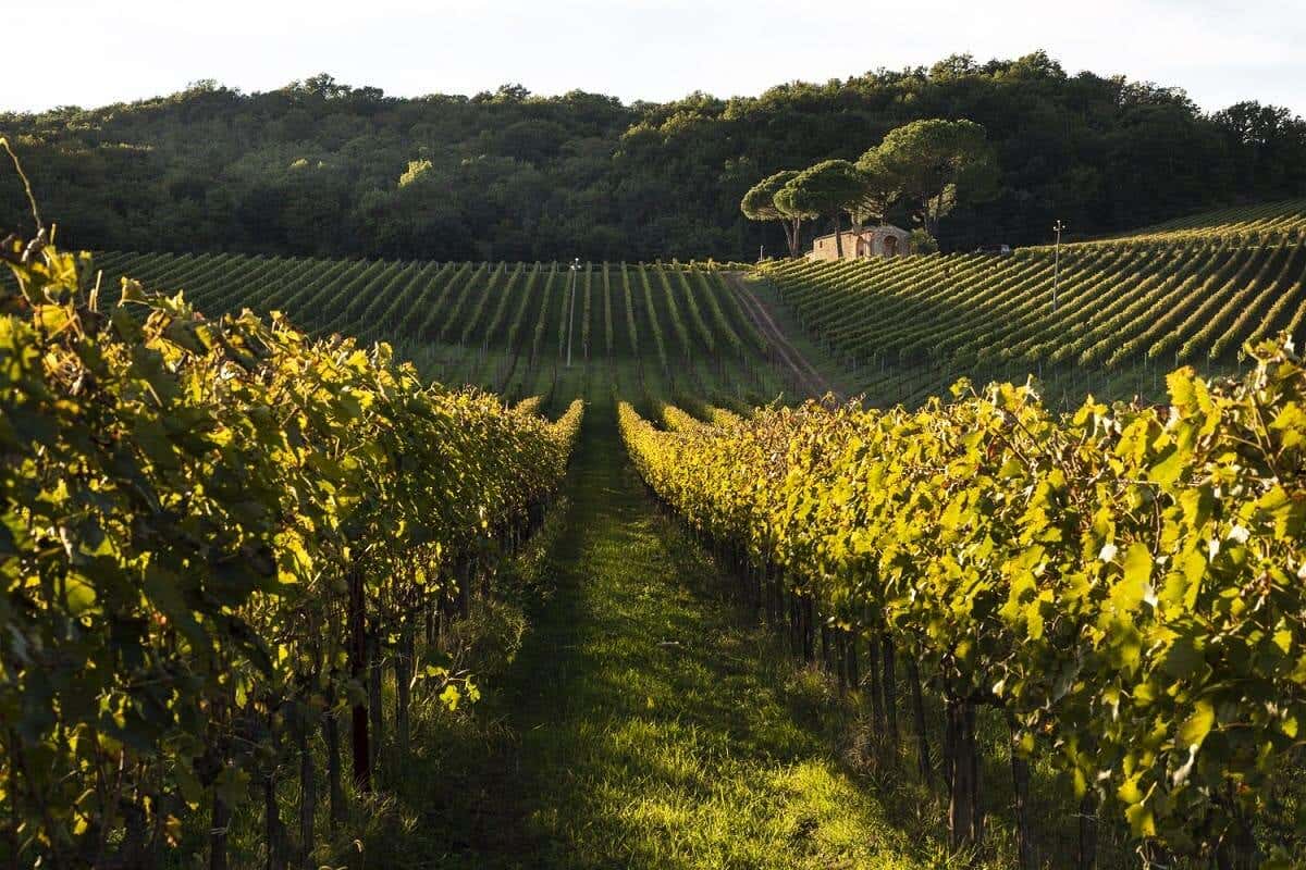 Heinz Beck sbarca in Toscana con un nuovo fine dining nel Chianti Classico