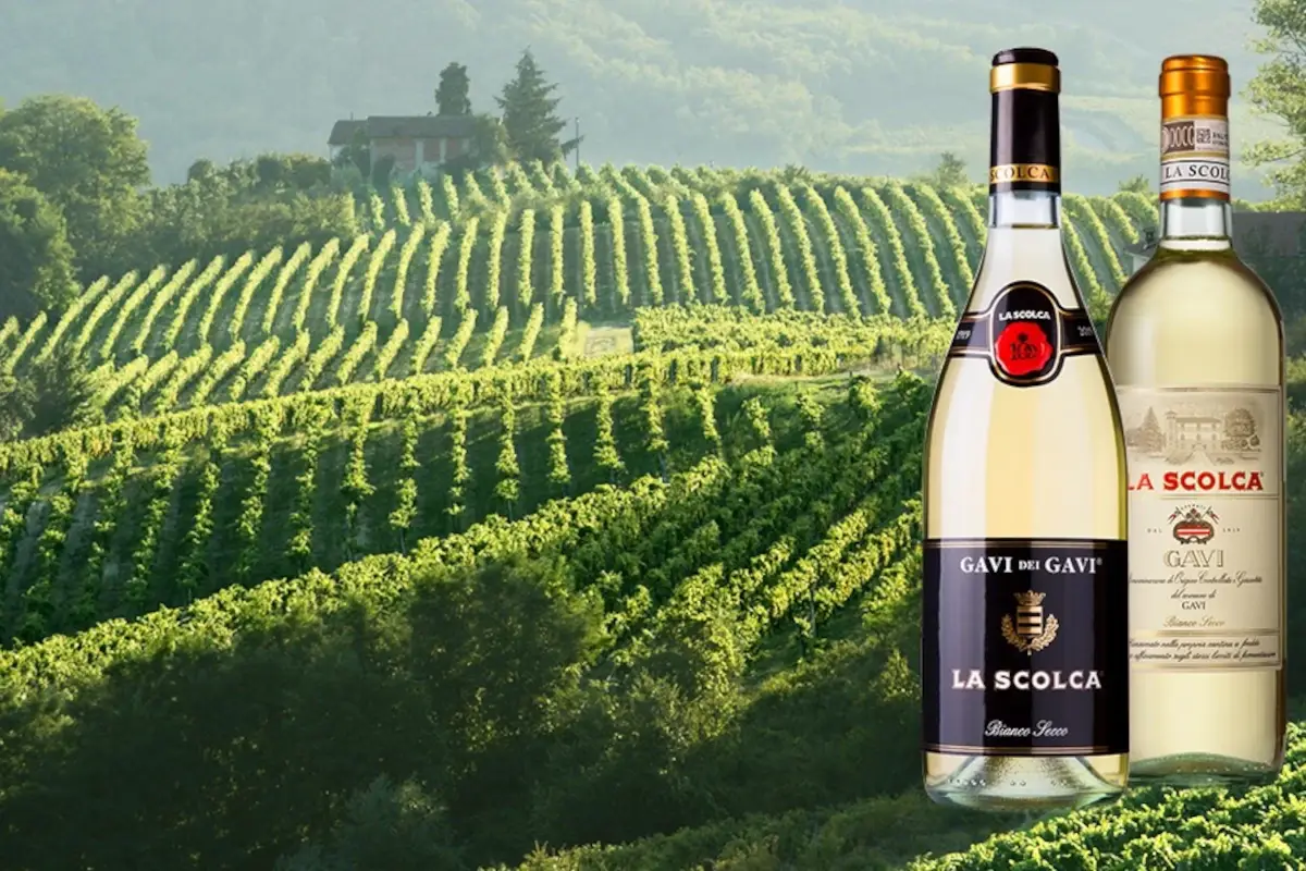 La Scolca: qualit&agrave;, sostenibilit&agrave; e sviluppo del territorio per la prima cantina del Gavi