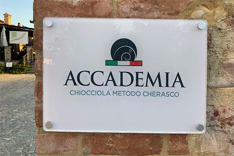 (La chiocciola riparte da Cherasco e lancia la sfida alle escargot francesi)