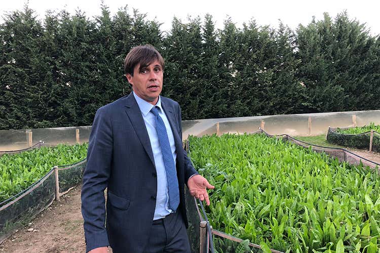 Simone Samp&ograve; (La chiocciola riparte da Cherasco e lancia la sfida alle escargot francesi)