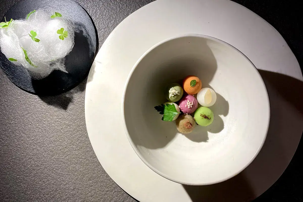 Torino, la stella di Unforgettable brilla grazie ai vegetali