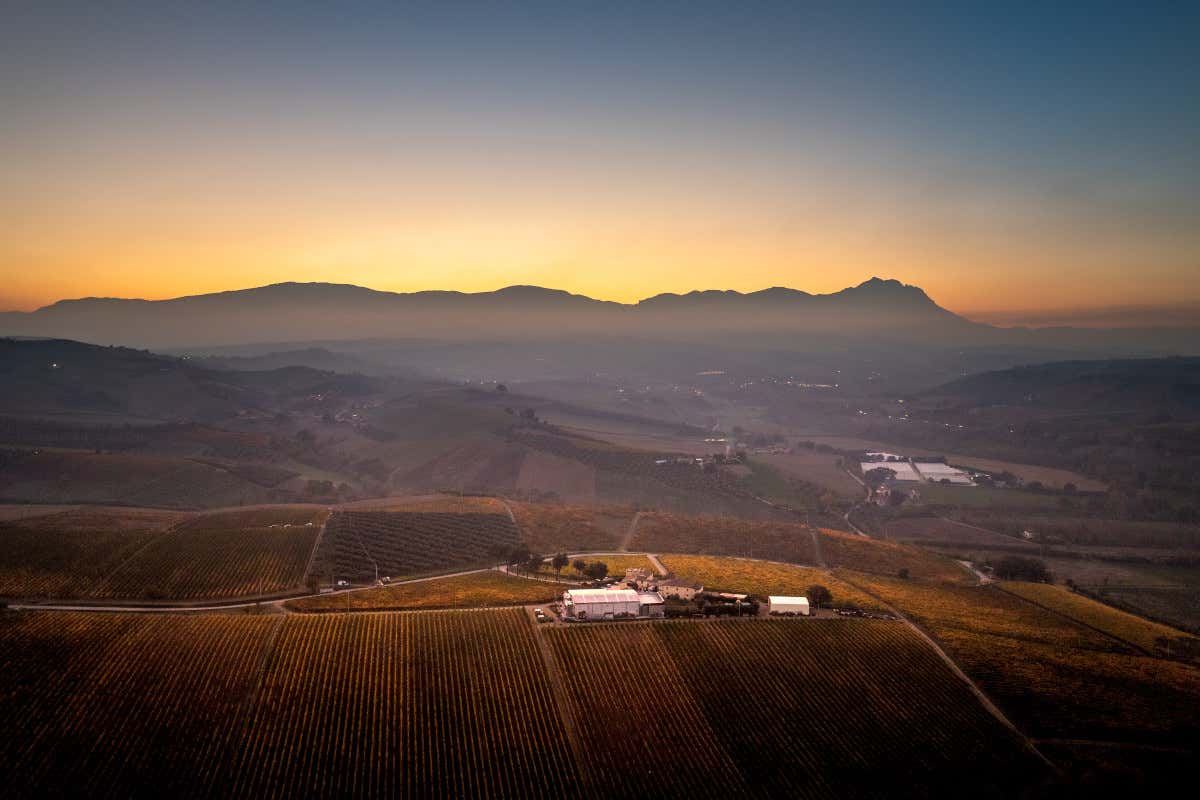 Il paesaggio che circonda la Masseria del Vino