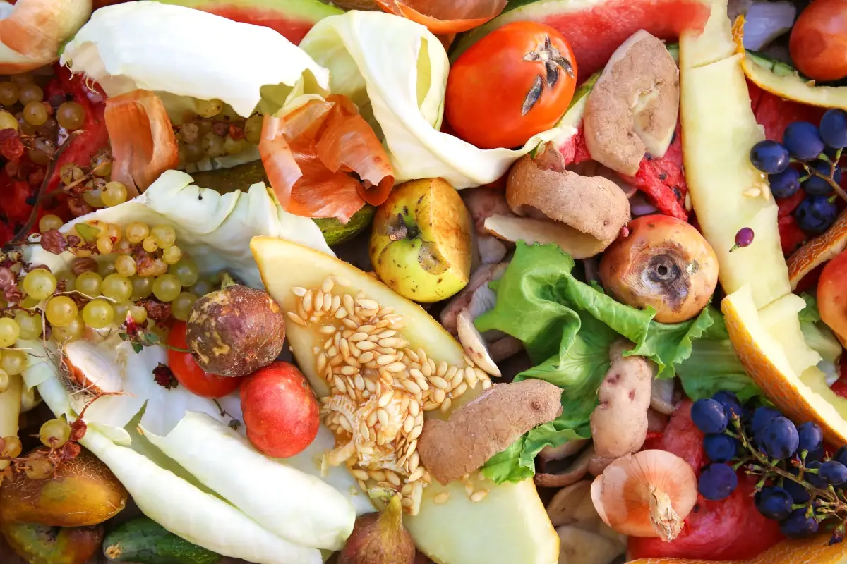 &ldquo;Doggy bag&rdquo; e multe da 500mila euro: la lotta della Spagna allo spreco alimentare. E in Italia?